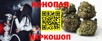 крисы Будённовск